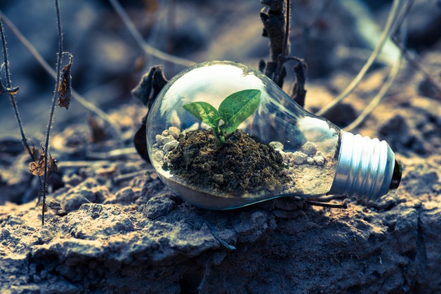 Dafetide Energy Consultancy Services Limited